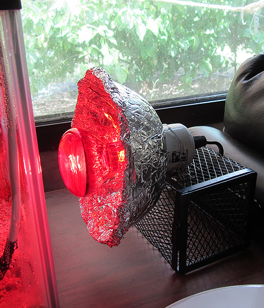 homemade heat lamp